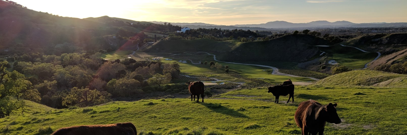 Benjamin Davis banner