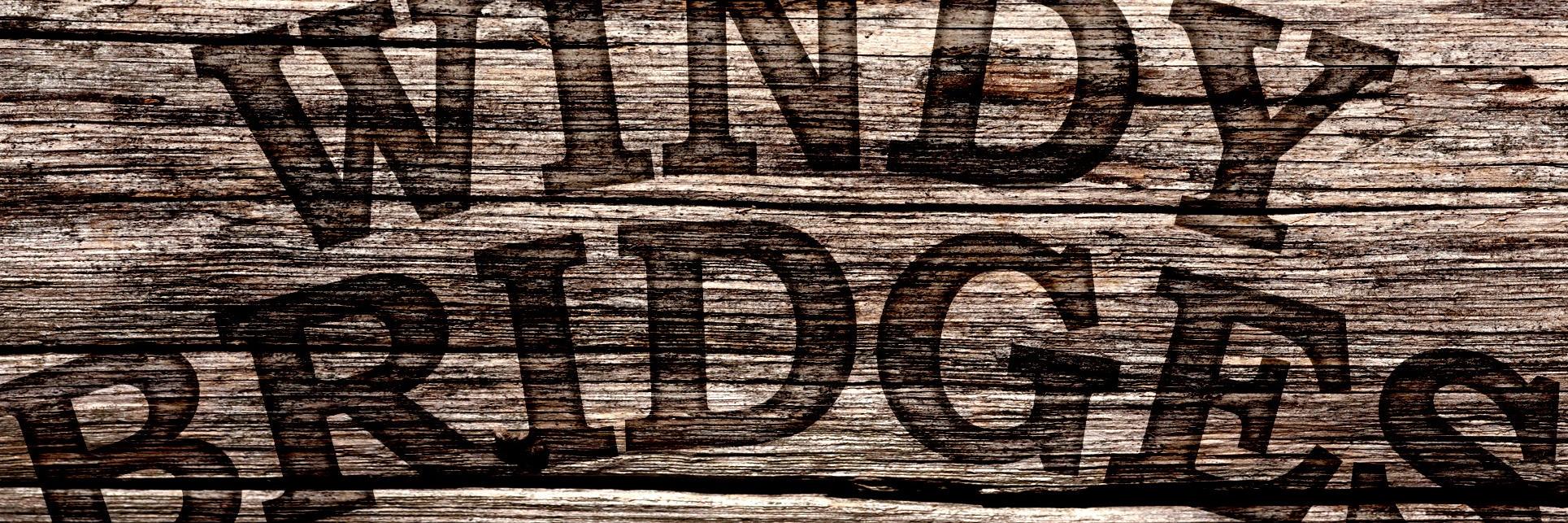 Windy_Bridges's profile banner image