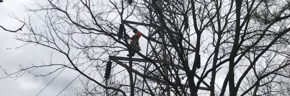 Dr. Kenneth Noisewater banner