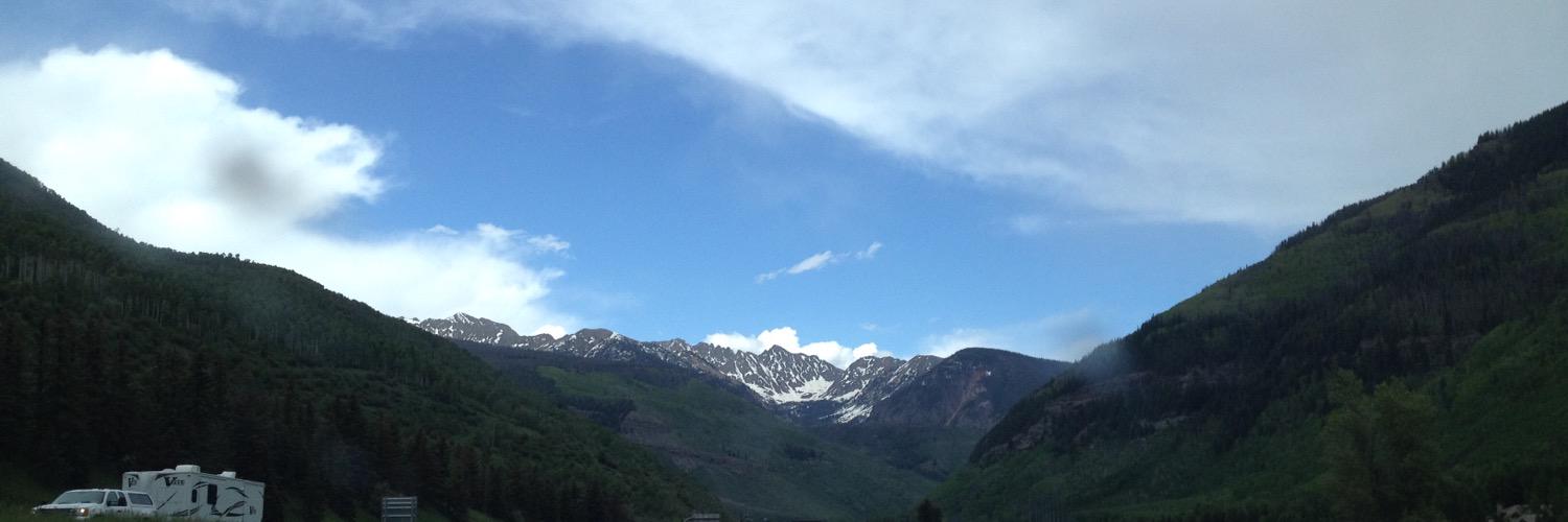 APA Division 31 banner