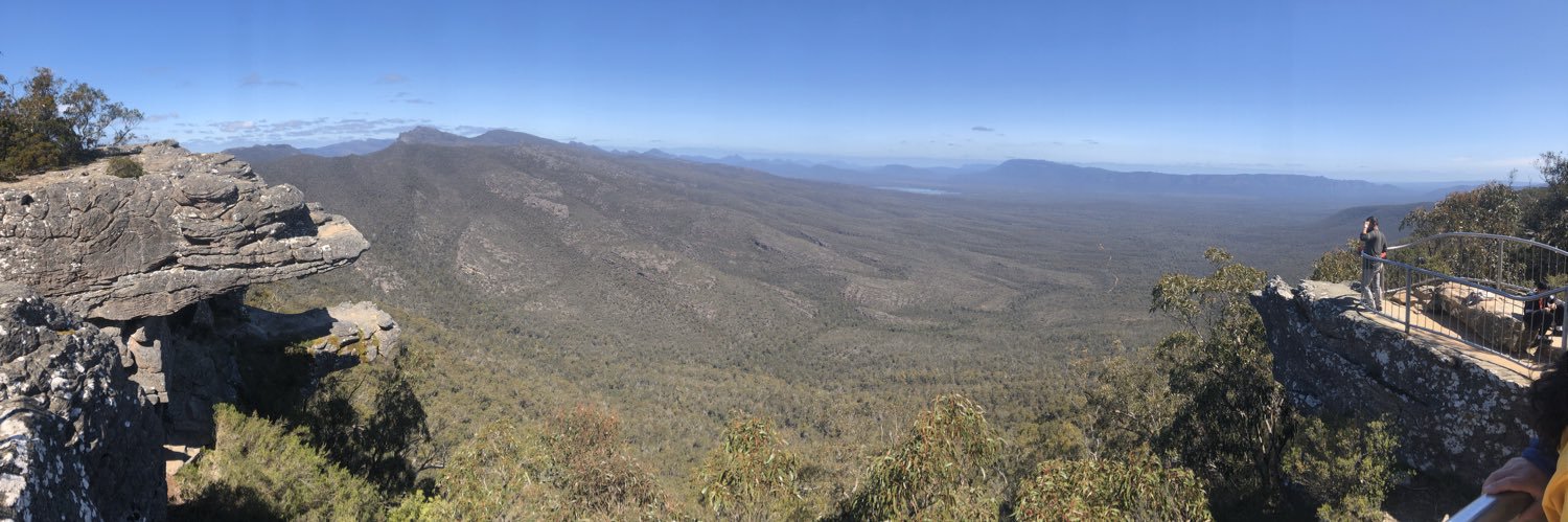 Dr Alison Every banner