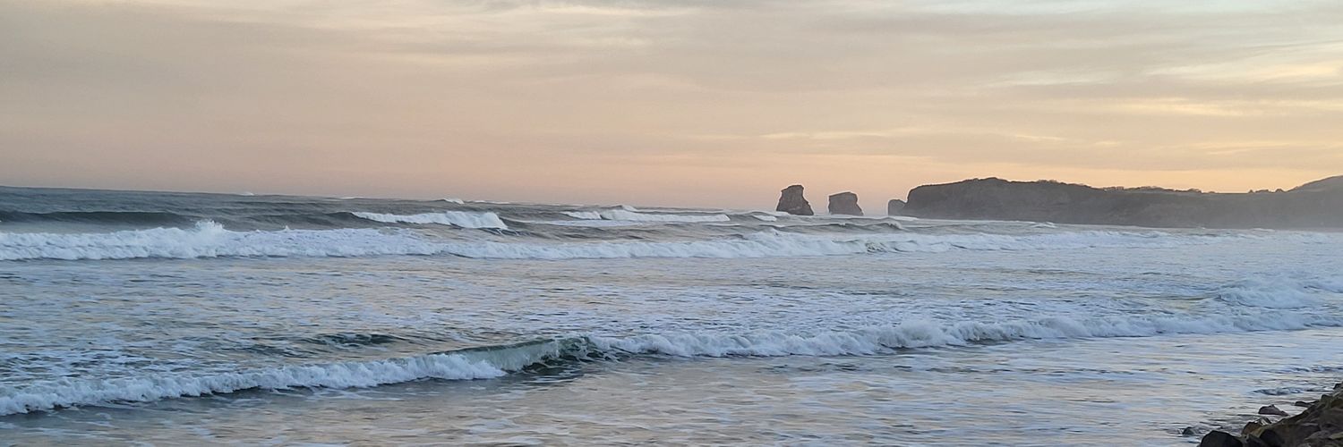 larrieudam's profile banner image