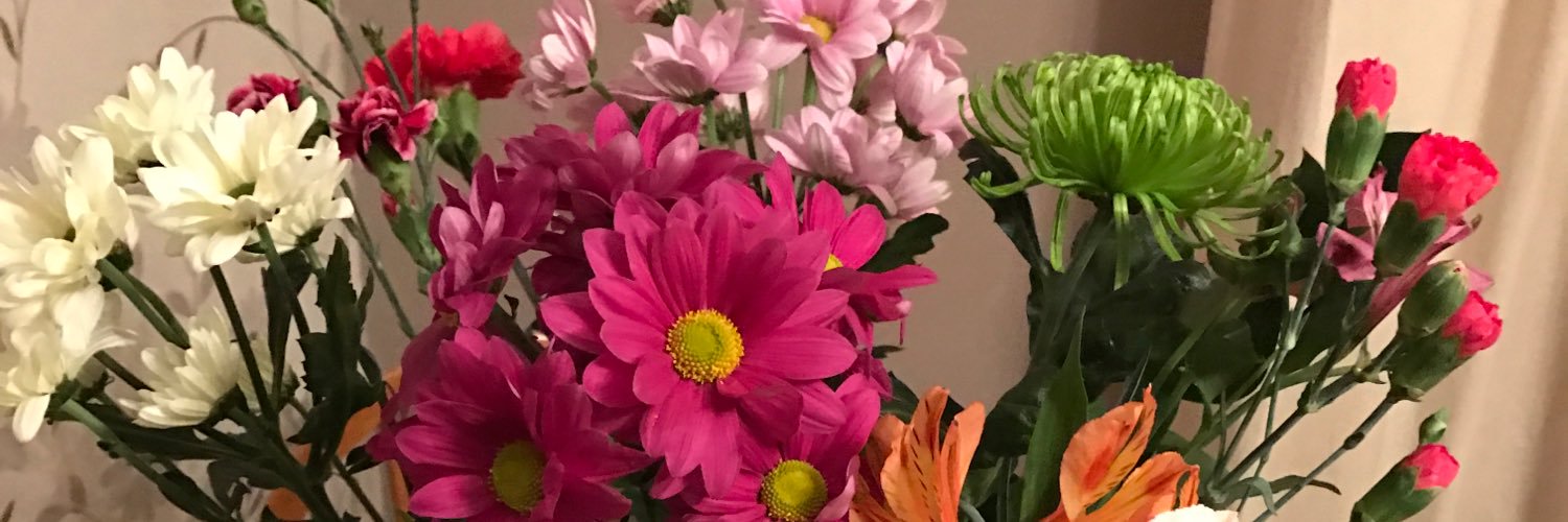 75shelley's profile banner image