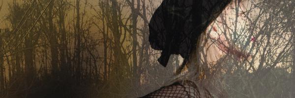 fracturedkate Profile Banner