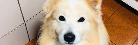 May__Acosta's profile banner image