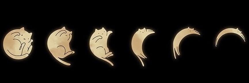 HalleyFBabyy's profile banner image
