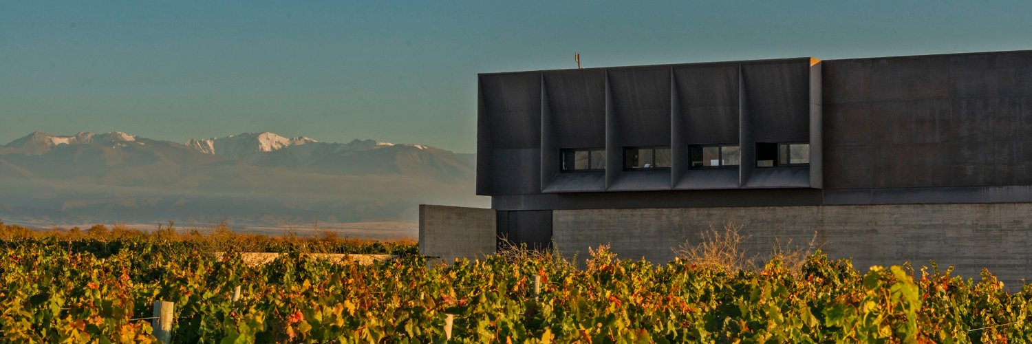 Bodega Corazón Del Sol banner