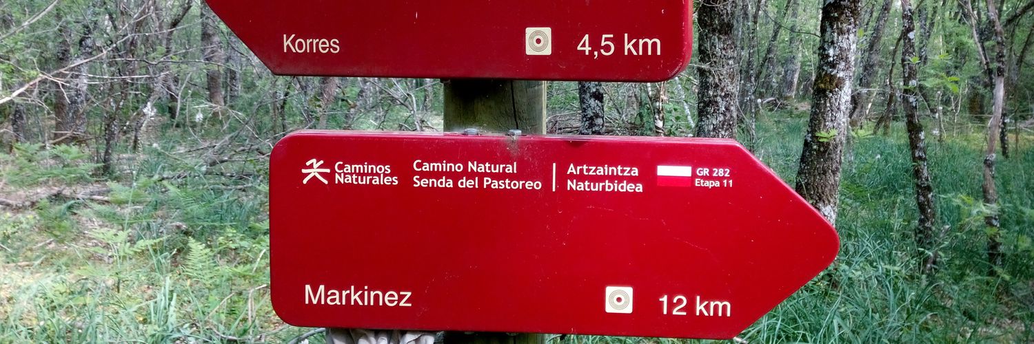 Joseba Abaitua banner