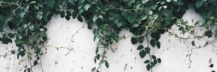Lpolito26's profile banner image