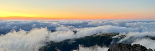 BasDonkers Profile Banner