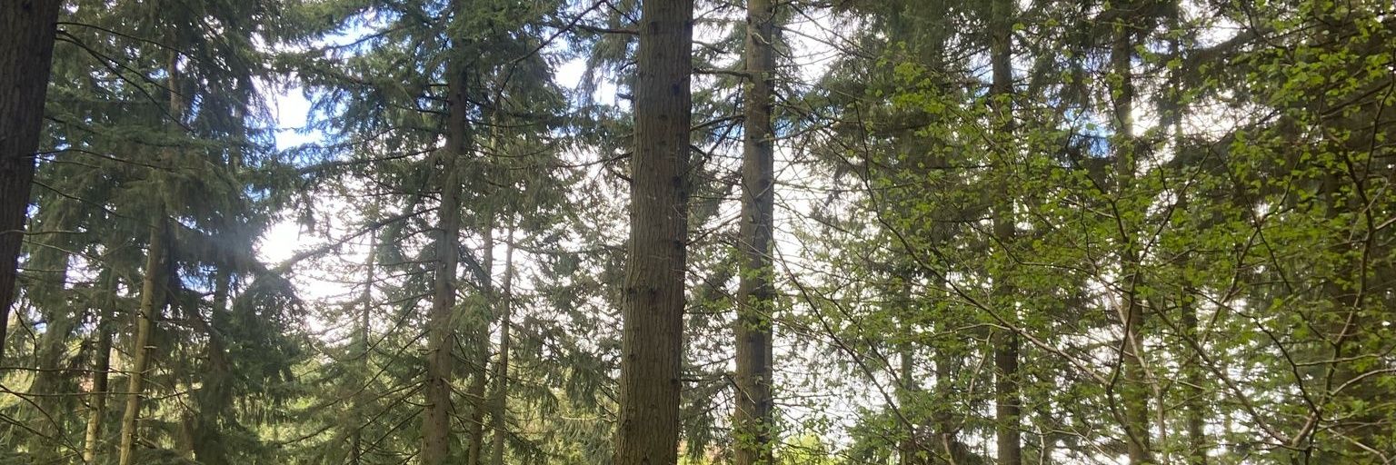nataliahnx's profile banner image