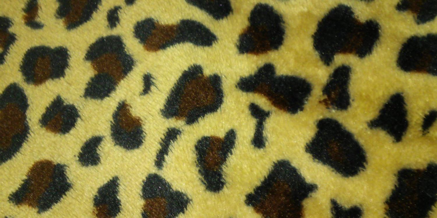 bridget3315's profile banner image