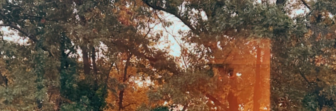 stargirliv's profile banner image