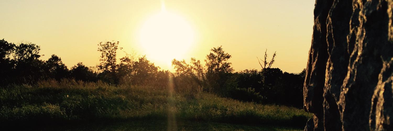 CoxCassidy's profile banner image