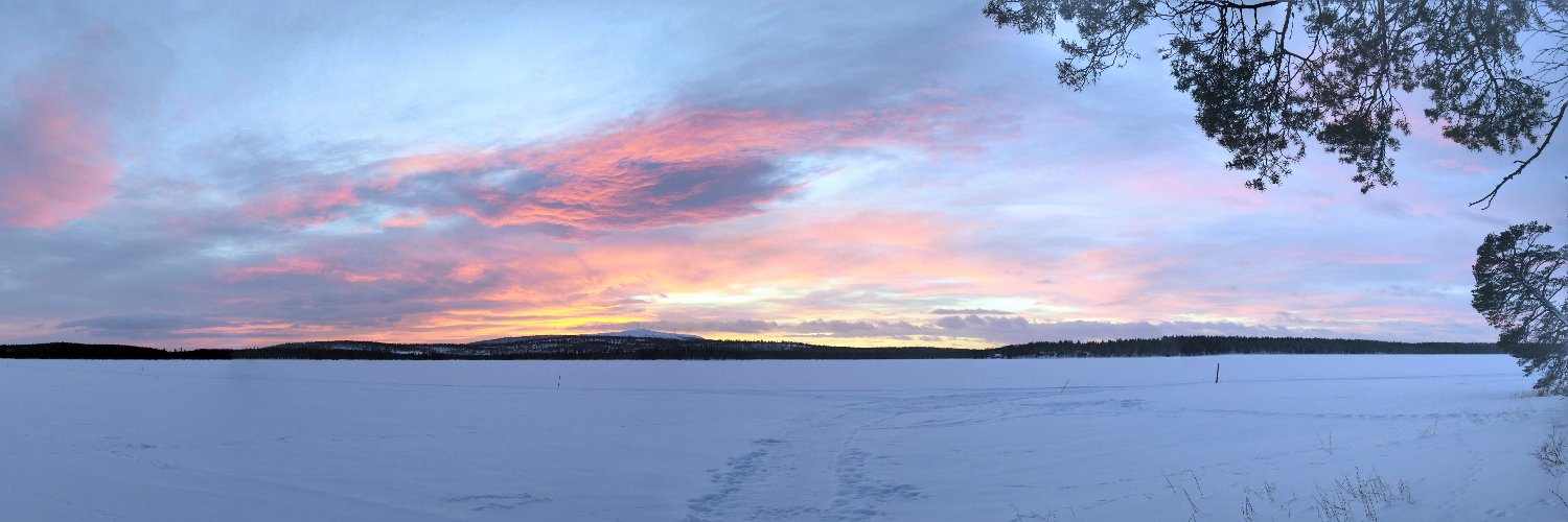 Marco Salvalaglio banner