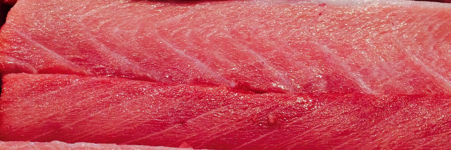 Chris_Kinjo's profile banner image