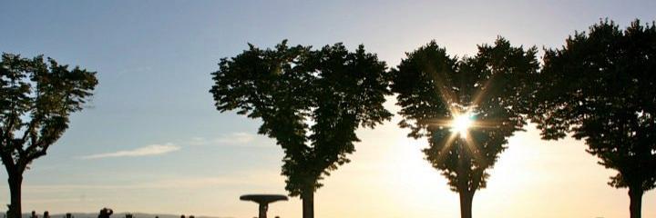 WordsWith_Wendy's profile banner image