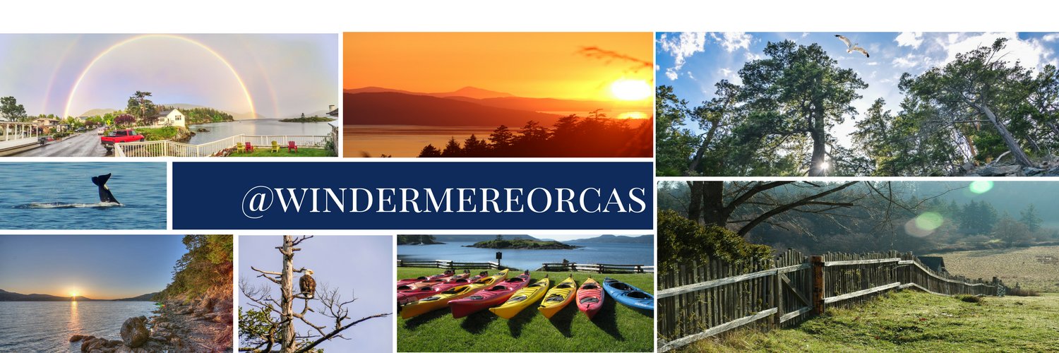 windermereorcas's profile banner image