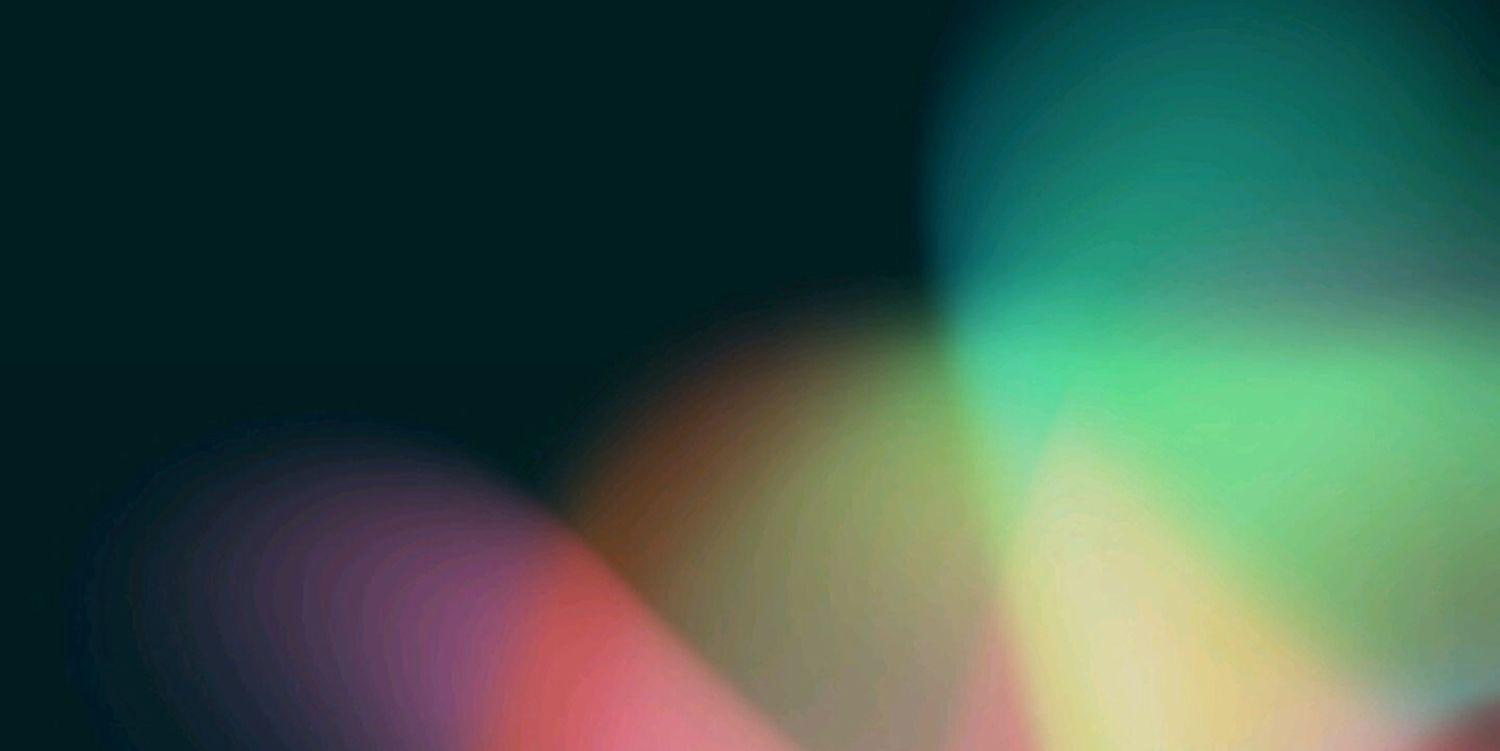 jachelle's profile banner image