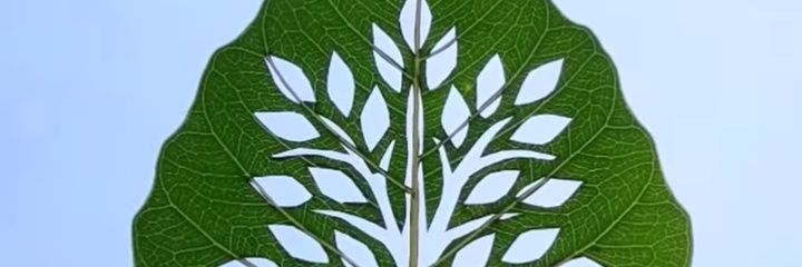 heureuso's profile banner image