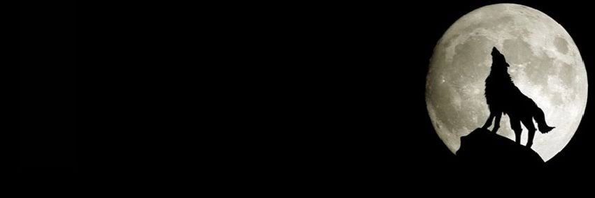 sonaerdik's profile banner image