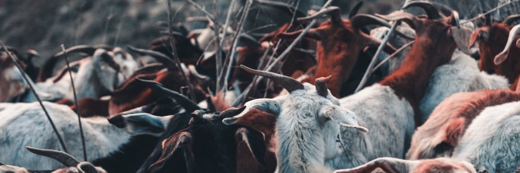 va6ue's profile banner image