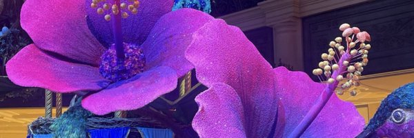 talyaa_t Profile Banner