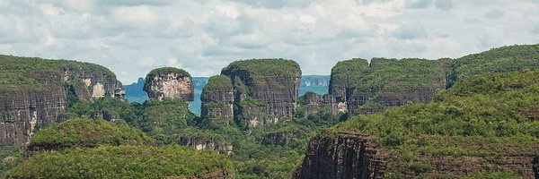 NaranjoSamuel Profile Banner