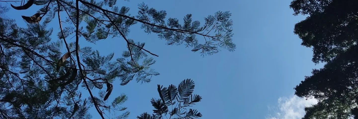 Jrulha's profile banner image