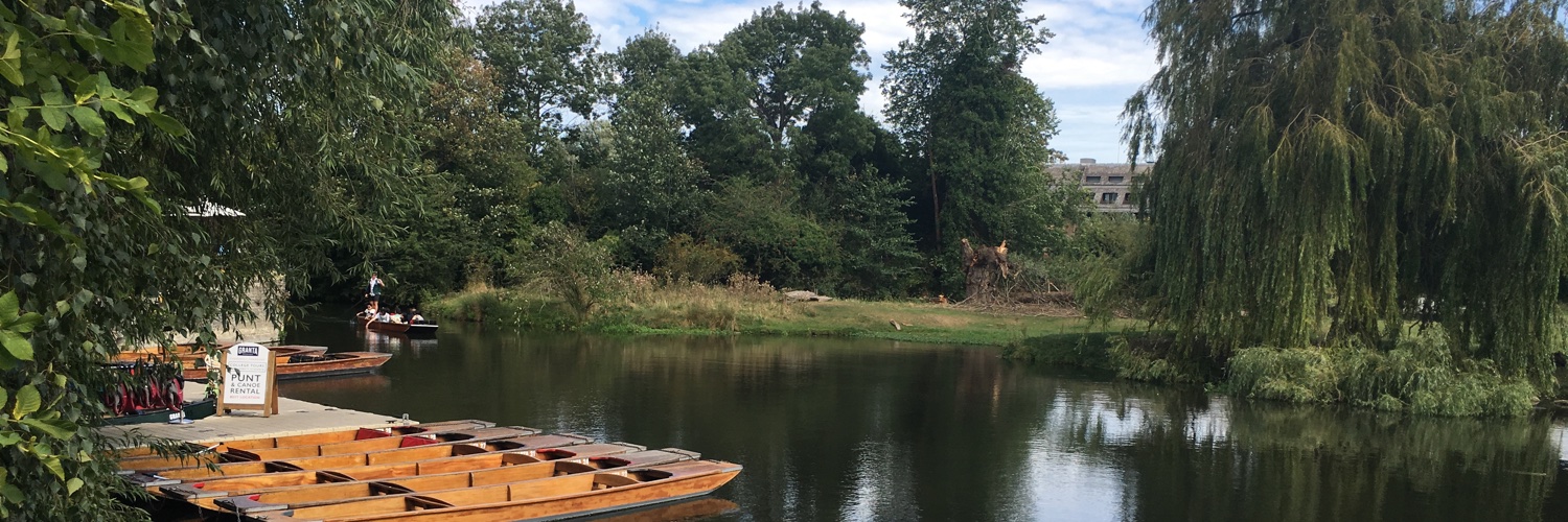 María Marco 💚 banner