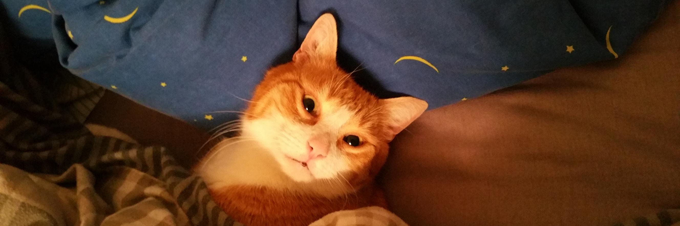 kidaba 🎗 🟦🟧 banner