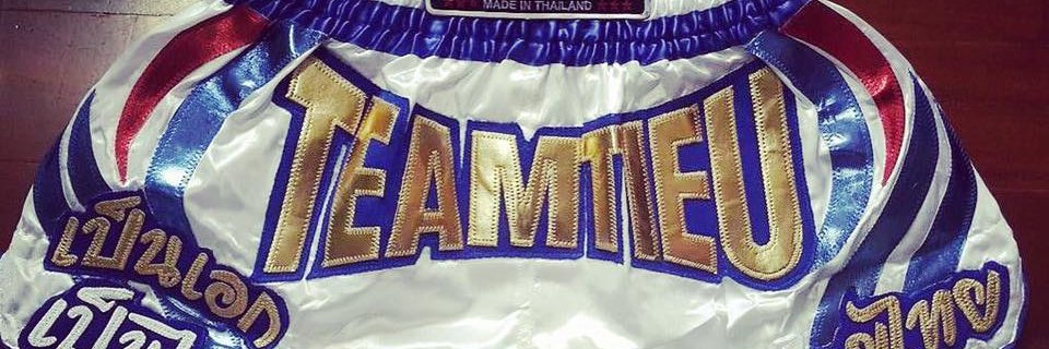 TeamTieu's profile banner image