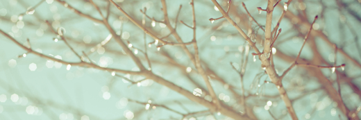 FidSarah's profile banner image