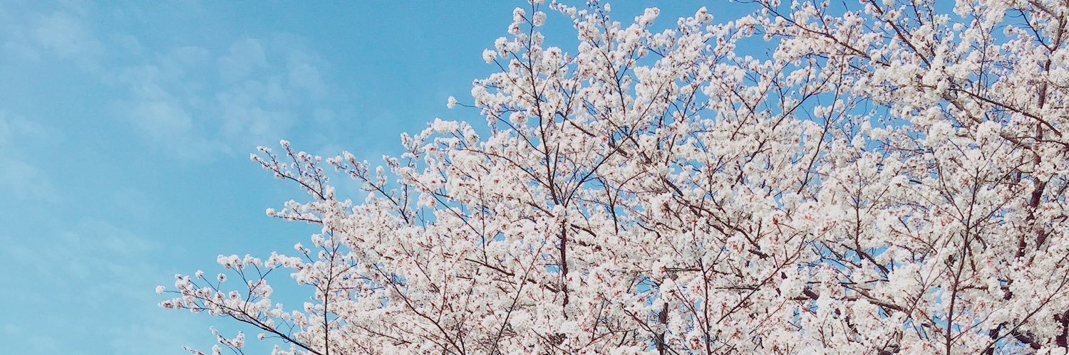 igooo_chocooo's profile banner image