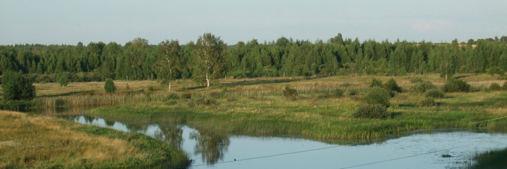 rivkinal57's profile banner image