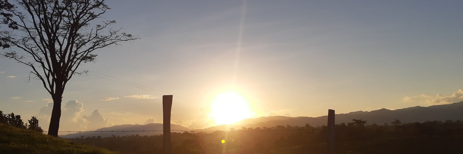 LUISFERNANDO353's profile banner image