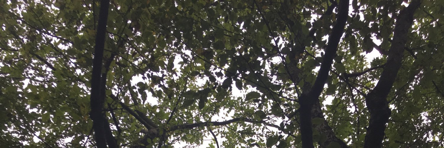 ywillis82's profile banner image