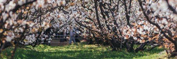 jacksvu Profile Banner