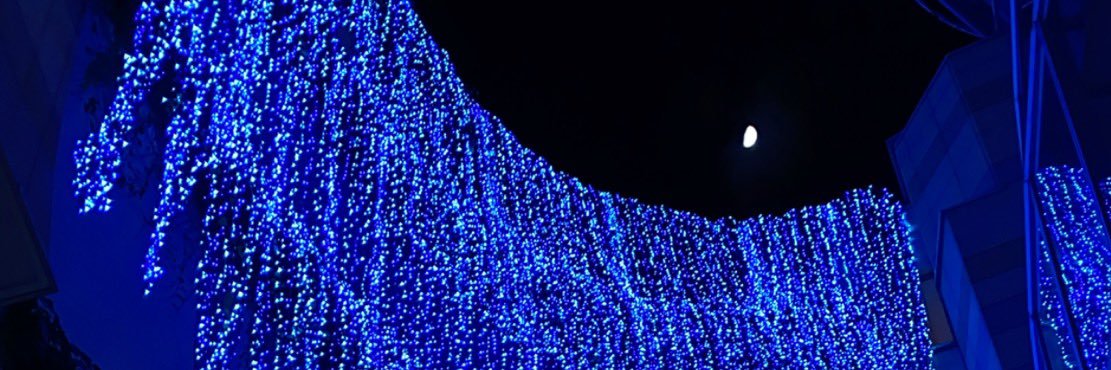 letsgotamago's profile banner image