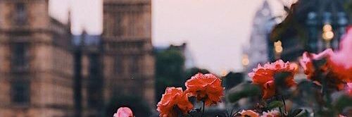 iwitexs's profile banner image