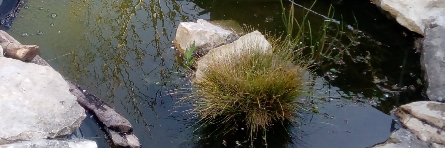 Simon Oliver 🌍🔥❌ banner