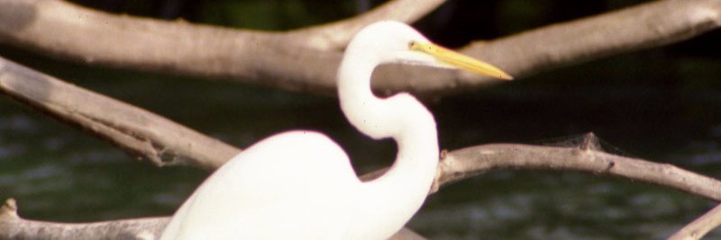 CubedJay's profile banner image