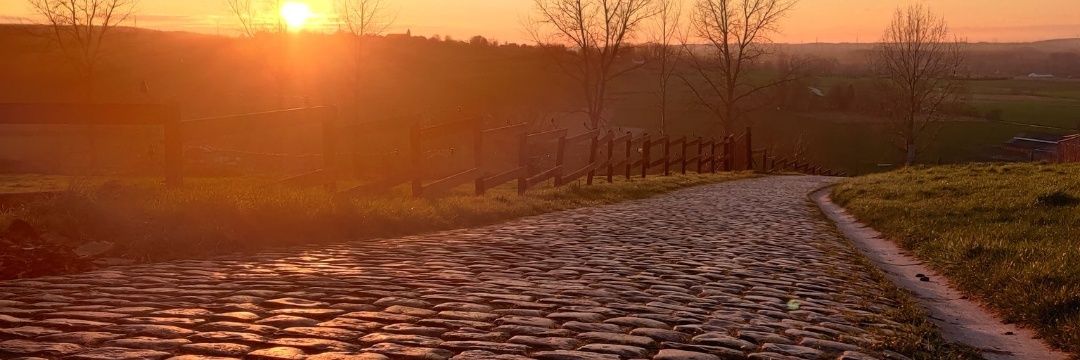 algs911's profile banner image