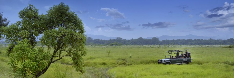 barahijungle's profile banner image