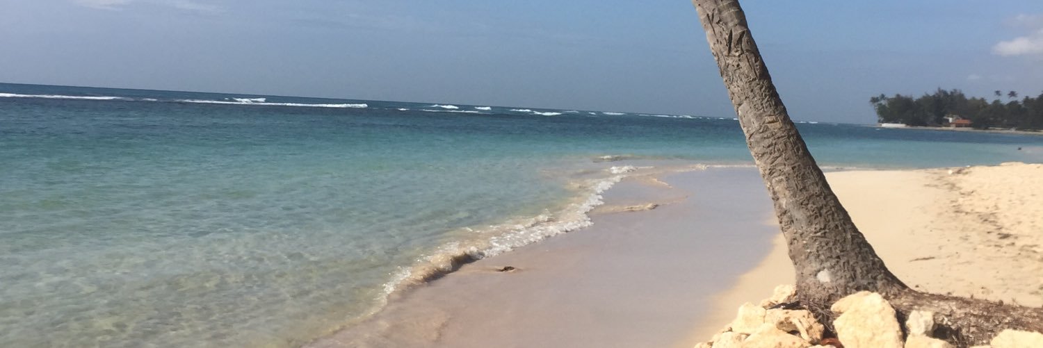 FslLouis's profile banner image