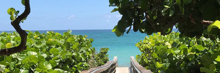 Deb L. 🙏🇺🇸🏖️ banner
