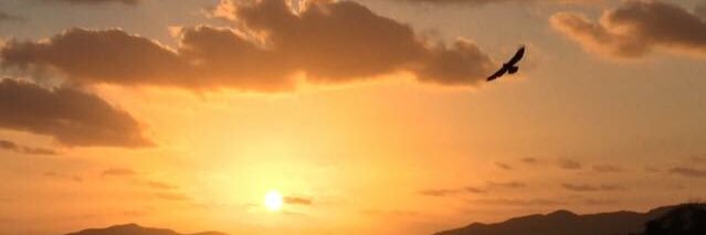 DeAnna_MStewiam's profile banner image
