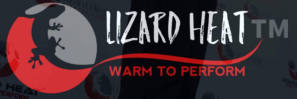 lizardheat's profile banner image