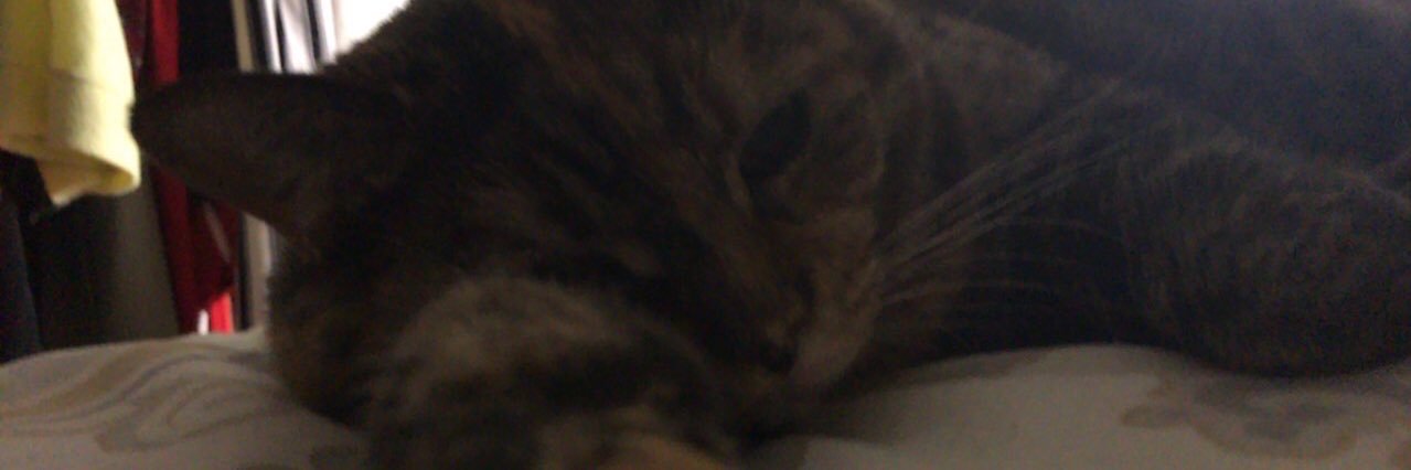 CLUCELA's profile banner image