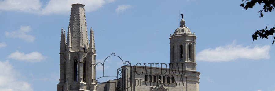 BisbePardo's profile banner image